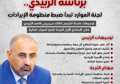 برئاسة الزُبيدي.. لجنة الموارد تبدأ ضبط منظومة الإيرادات (إنفوجراف)