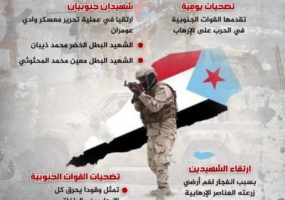 تضحيات القوات الجنوبية.. وقود يحرق الإرهابيين (إنفوجراف)