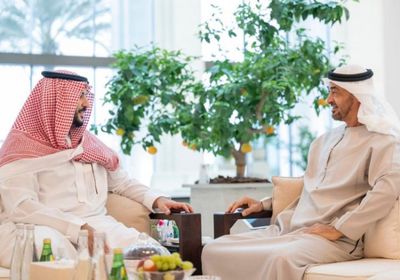 خالد بن سلمان يجري مباحثات مع رئيس الإمارات