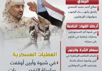 الجنوب يحارب الإرهاب بلا هوادة (إنفوجراف)