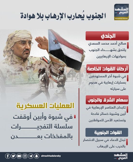 الجنوب يحارب الإرهاب بلا هوادة (إنفوجراف)