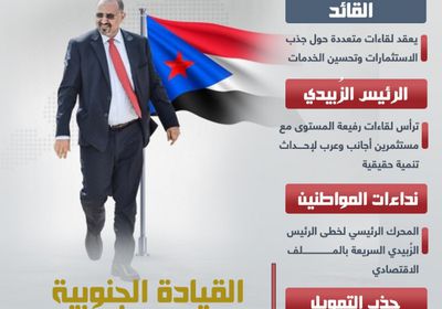 الزُبيدي يعبر بالجنوب إلى التنمية (إنفوجراف)