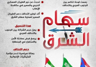 سهام الشرق.. لوحة تقارب جديد بين الجنوب والتحالف (إنفوجراف)