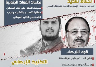 الإرهاب يلفظ أنفاسه (إنفوجراف)