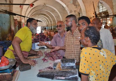 حملة رقابية على أسعار الأسماك في صيرة