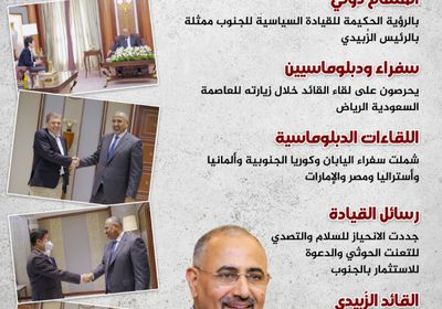 اصطفاف دبلوماسي على باب الرئيس الزُبيدي (إنفوجراف)