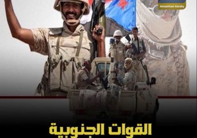 القوات الجنوبية.. نجاحات متتالية (فيديوجراف)