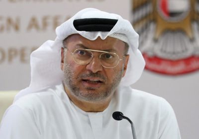 قرقاش: زيارة محمد بن زايد لروسيا تناولت مختلف الملفات