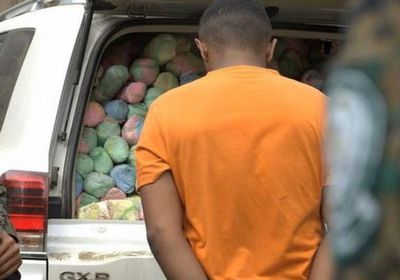 إحباط محاولة تهريب كميات كبيرة من المخدرات بالسعودية (فيديو)