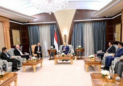 العليمي وليندركينج يبحثان إحياء مساء السلام