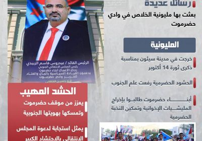 رسائل مليونية الخلاص في ذكرى 14 أكتوبر (إنفوجراف)