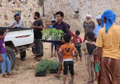 "خليفة الإنسانية" توزع 3200 شتلة زراعية في سقطرى