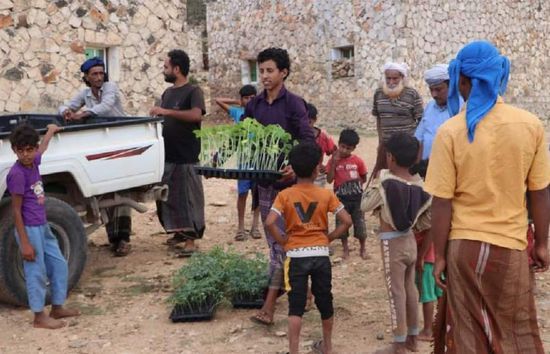 "خليفة الإنسانية" توزع 3200 شتلة زراعية في سقطرى