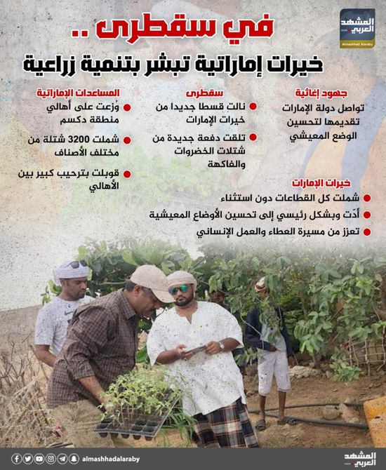 في سقطرى.. خيرات إماراتية تبشر بتنمية زراعية (إنفوجراف)