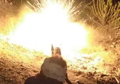 بعملية جنوبية.. استهداف تجمع حوثي بجبهة شمال الضالع