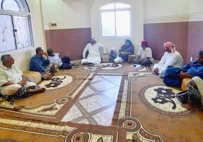 اتفاق على تشكيل هيئة استشارية أكاديمية للهبة الحضرمية