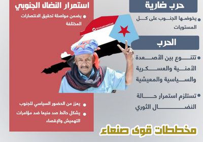النضال الجنوبي.. ثورة مستمرة (إنفوجراف)