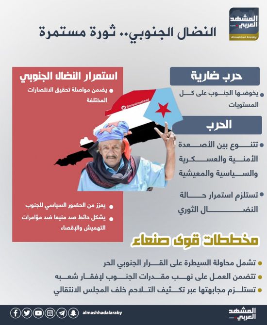 النضال الجنوبي.. ثورة مستمرة (إنفوجراف)