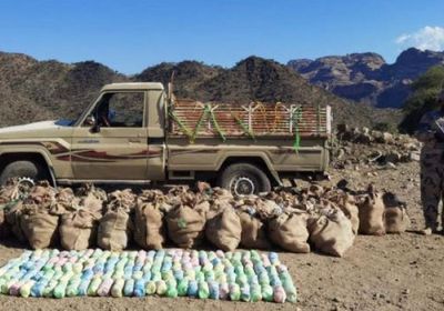 حرس الحدود السعودي يحبط محاولات تهريب 68 طن قات