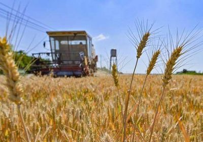 الأمم المتحدة تحث على ضرورة استئناف صادرات الحبوب الأوكرانية