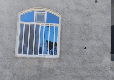 مليشيا الحوثي تقصف مناطق سكنية بتعز