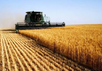 روسيا تبلغ الأمم المتحدة رسميًا بانسحابها من اتفاق الحبوب