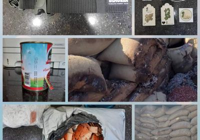 رفض دخول شحنات أغذية فاسدة بميناء عدن