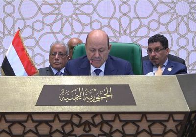 العليمي يطالب بعمل عربي جماعي للتصدي للحوثي