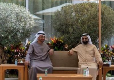 رئيس الإمارات يلتقي بن راشد في دبي