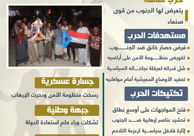 الجنوب يحبط مخطط إرباكه (إنفوجراف)