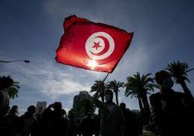 تونس تحتفل بشجرة الزيتون