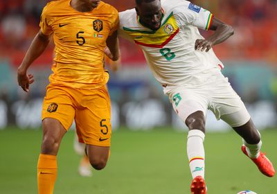 بث مباشر.. مشاهدة مباراة هولندا والإكوادور بكأس العالم 2022