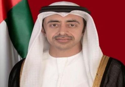 وزير الخارجية الإماراتي: نجدد العهد والولاء في ظل قيادة محمد بن زايد