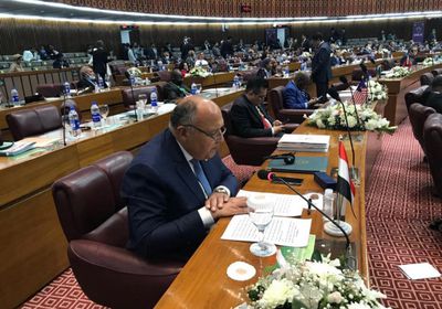 شكري: التحديات الراهنة والمستقبلية تفرض العمل المشترك بين مصر والأردن والعراق