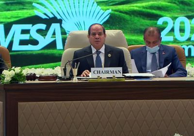 السيسي يدعو لتنفيذ مشروع دولي ضخم بالقارة الأفريقية