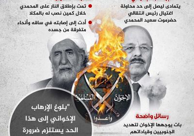 محاولة اغتيال المحمدي.. رسائل الإخوان ورد الجنوب (إنفوجراف)