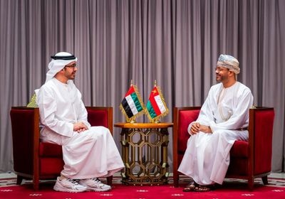 وزير خارجية الإمارات يبحث مع نظيره العماني التطورات بالمنطقة