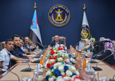 خارجية الانتقالي تدعو لتكاتف دولي بمواجهة الحوثية والإرهاب