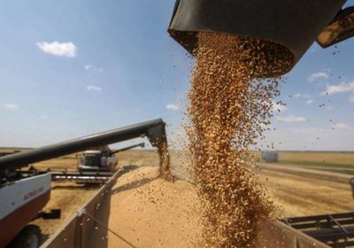 بنحو 40%.. تراجع حصاد أوكرانيا من الحبوب