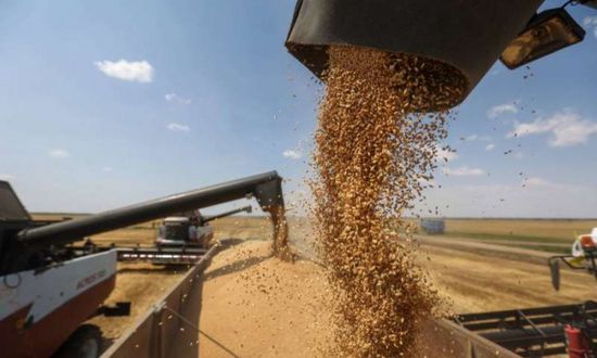 بنحو 40%.. تراجع حصاد أوكرانيا من الحبوب