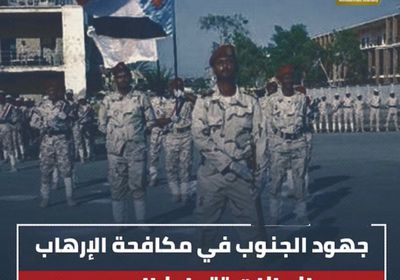 جهود الجنوب في مكافحة الإرهاب.. إنجازات تتجاوز الحدود (فيديوجراف)