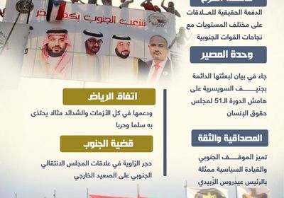 الجنوب والتحالف.. علاقة راسخة (إنفوجراف)