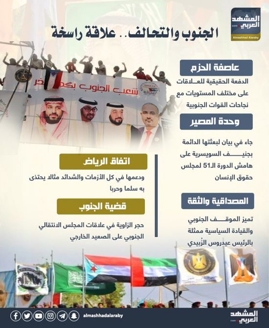 الجنوب والتحالف.. علاقة راسخة (إنفوجراف)