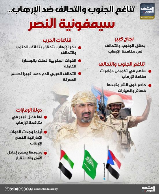 تناغم الجنوب والتحالف ضد الإرهاب.. سيمفونية النصر (إنفوجراف)