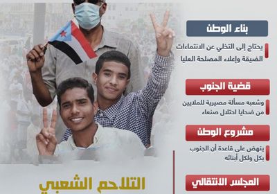 مستقبل الجنوب بالمواطنة (إنفوجراف)