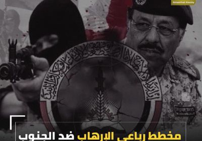 مخطط رباعي الإرهاب ضد ‫الجنوب‬ (فيديوجراف)‫