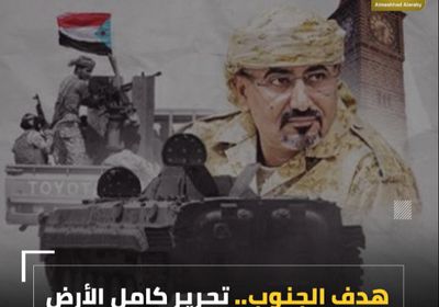 هدف ‫الجنوب‬.. تحرير كامل الأرض (فيديوجراف)‫