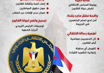 المجلس الانتقالي.. قيادة ترسخ دولة القانون (إنفوجراف)