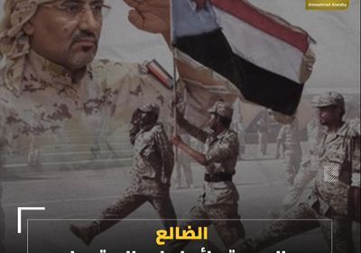 ‫الضالع‬.. العصية دائما على السقوط (فيديوجراف)‫