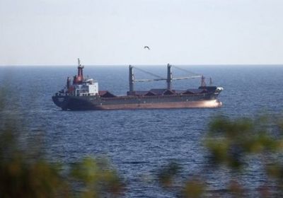 أوكرانيا تسرع عمليات تفتيش السفن